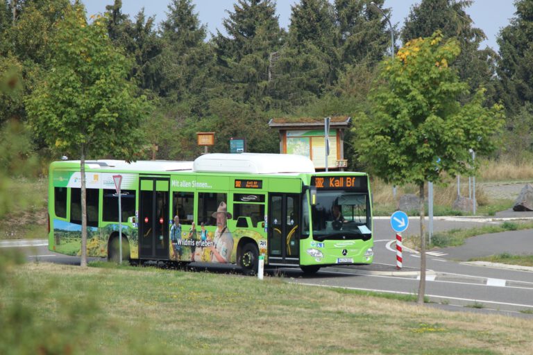 Read more about the article Attraktive Neuerungen der Nationalpark-Buslinien zum Saisonstart