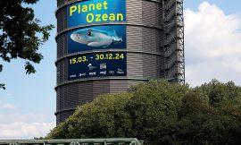 „Planet Ozean“ – Neue Ausstellung im Oberhausener Gasometer
