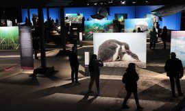 Fast 115.000 Gäste nach gut drei Wochen – die neue Ausstellung „Planet Ozean“ bricht alle Rekorde