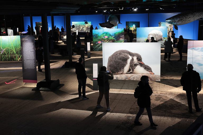 Read more about the article Fast 115.000 Gäste nach gut drei Wochen – die neue Ausstellung „Planet Ozean“ bricht alle Rekorde