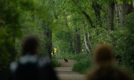 Spannende und lehrreiche Orte im Kreis Coesfeld in den Sommerferien entdecken