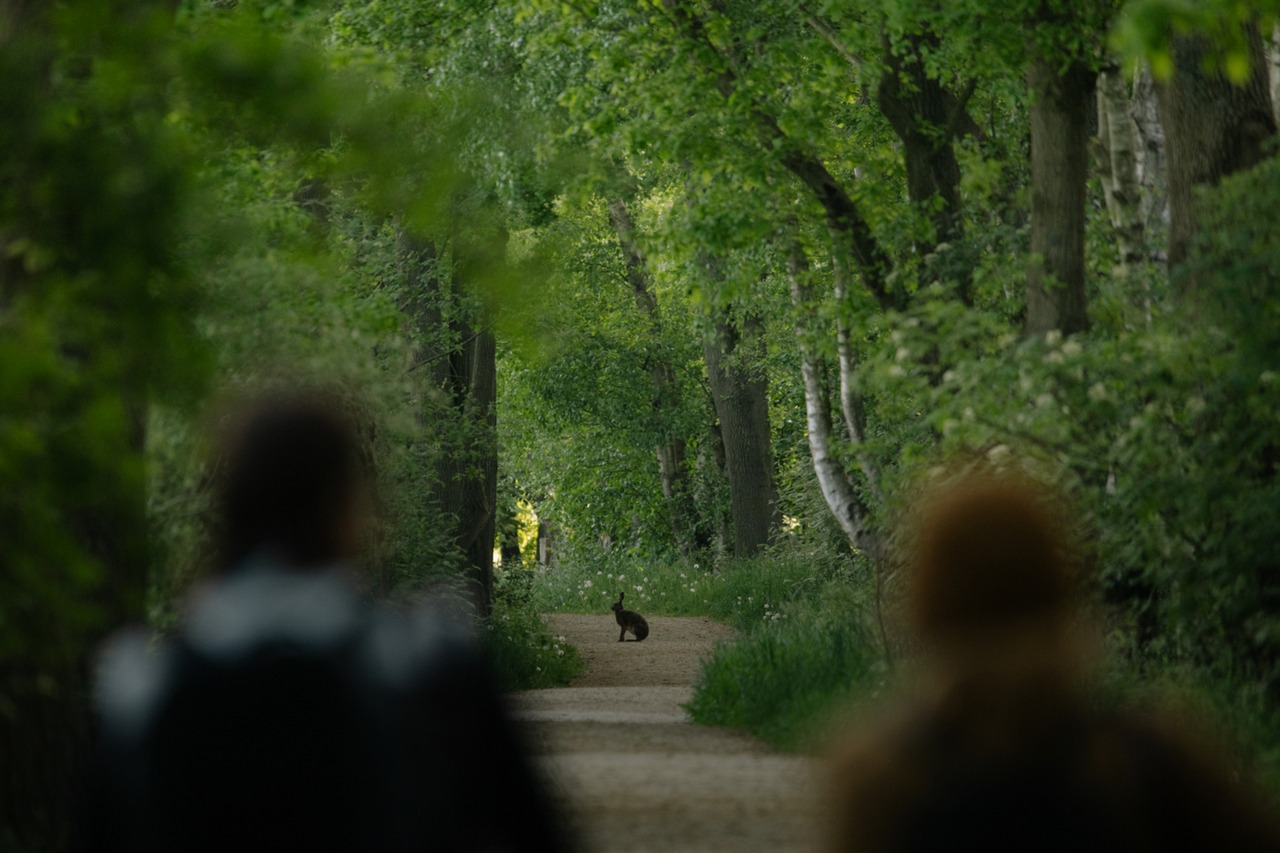 Das Münsterland lädt zum Wandern ein