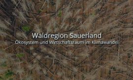 Waldregion Sauerland