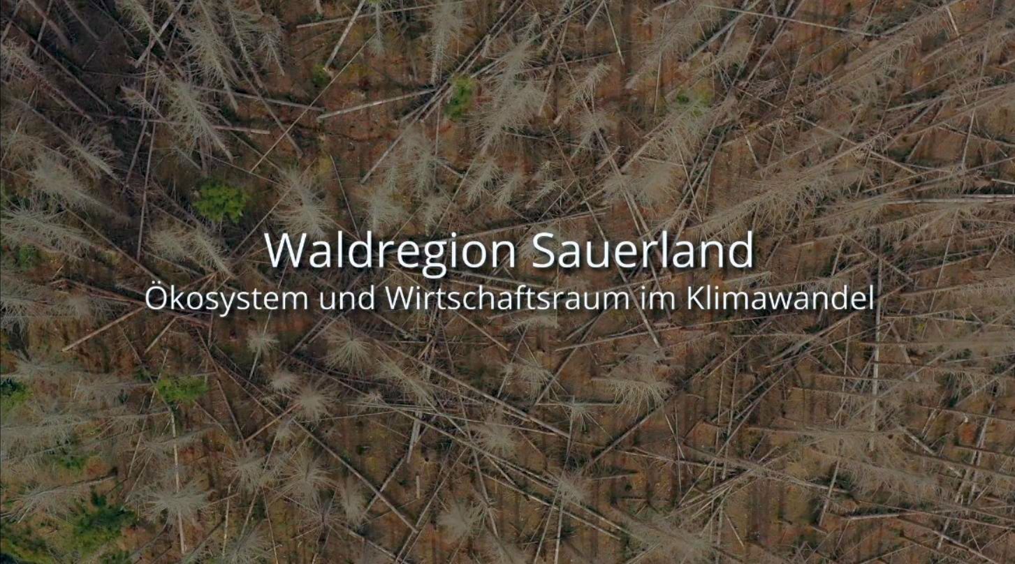 Waldregion Sauerland