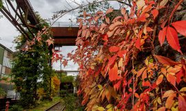 Langeweile? Fehlanzeige! Herbstferienprogramm der LWL-Museen