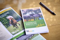 Mehr über den Artikel erfahren Pferdebegeisterung kompakt: Neue Reitkarte des Münsterland e.V. ab sofort verfügbar