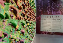 Mehr über den Artikel erfahren Elias Sime. Echo የገደል ማሚቶ im Kunstpalast Düsseldorf
