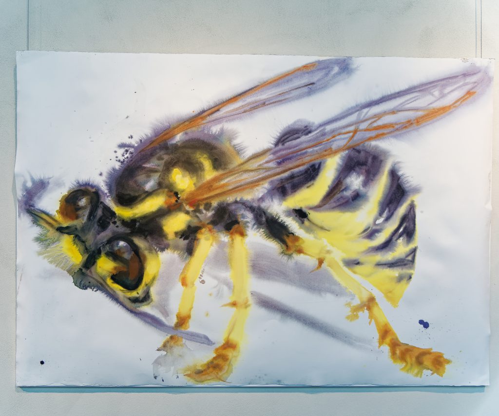 Markus Willeke, Wilhelm-Morgner-Preis 2025 - Foto: Helmut Sonnenhol