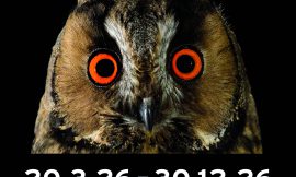 „Mythos Wald“ – Neue Ausstellung im Oberhausener Gasometer