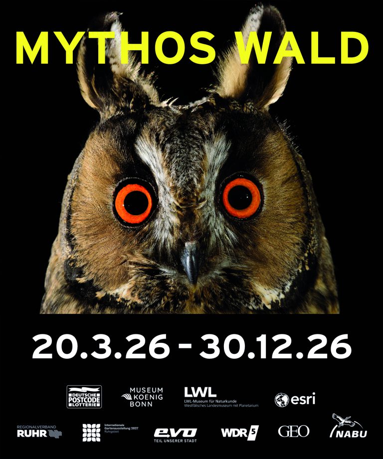 Mehr über den Artikel erfahren „Mythos Wald“ – Neue Ausstellung im Oberhausener Gasometer