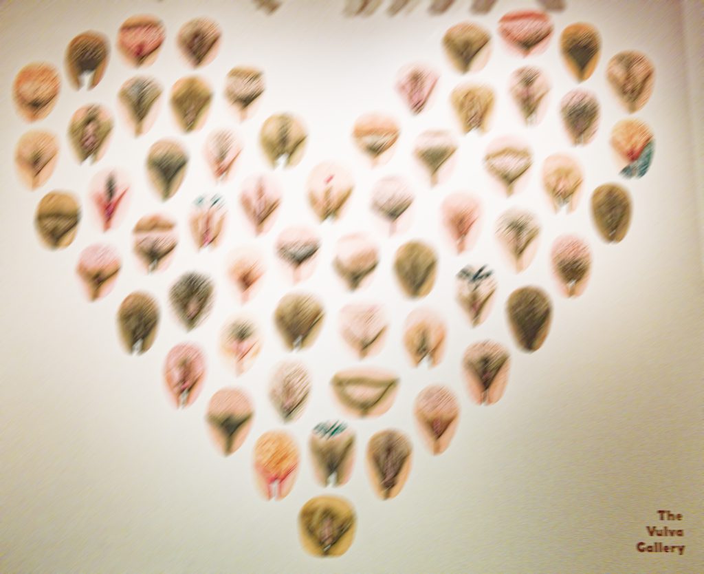 Sex Now, Ausstellung im NRW-Forum Düsseldorf, The Vulva Gallery - Foto: Helmut Sonnenhol