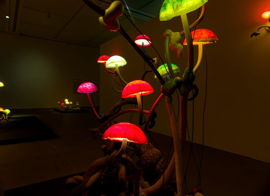 Mika Rottenberg. Queer Ecology, Lehmbruck Museum - Foto: Helmut Sonnenhol