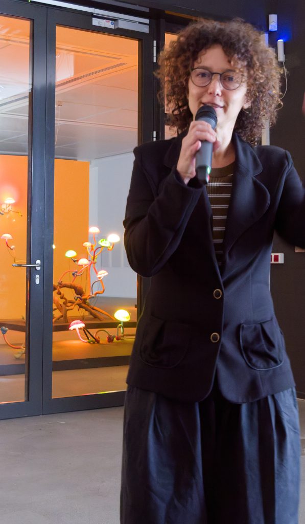 Mika Rottenberg. Queer Ecology, Lehmbruck Museum - Foto: Helmut Sonnenhol