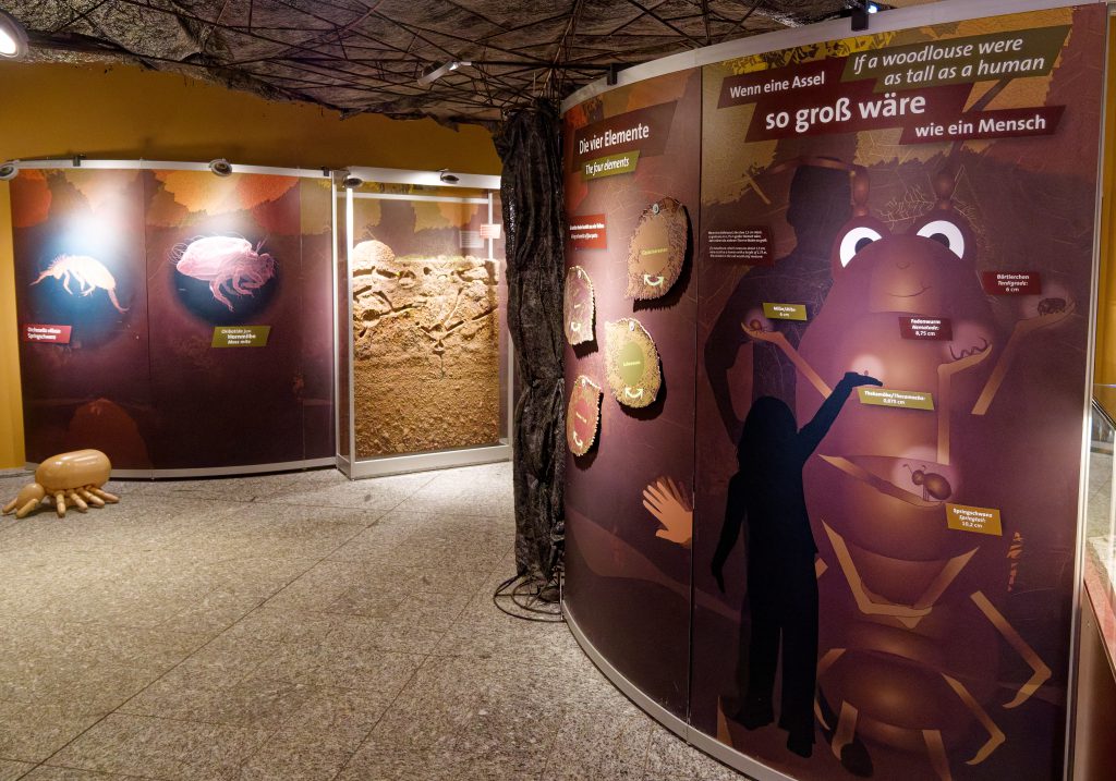 Die dünne Haut der Erden - Unsere Böden. Sonderausstellung im Naturmuseum Dortmund - Foto: Helmut Sonnenhol