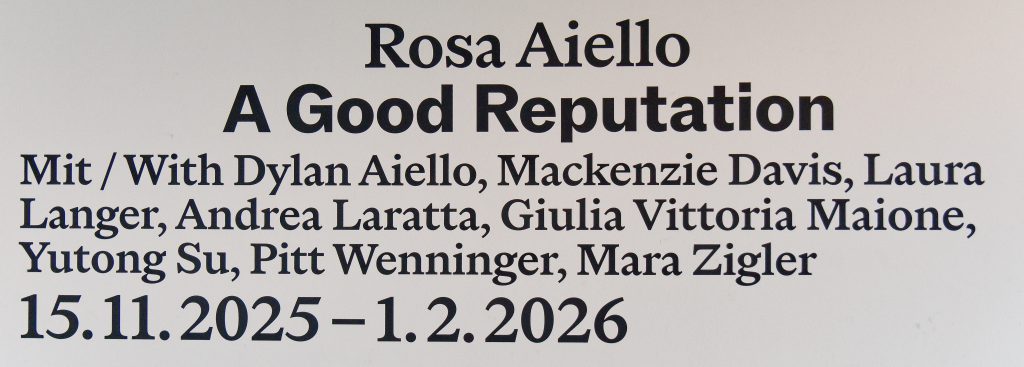 Rosa Aiello, A Good Reputation, Westfälischer Kunstverein - Foto: Helmut Sonnenhol