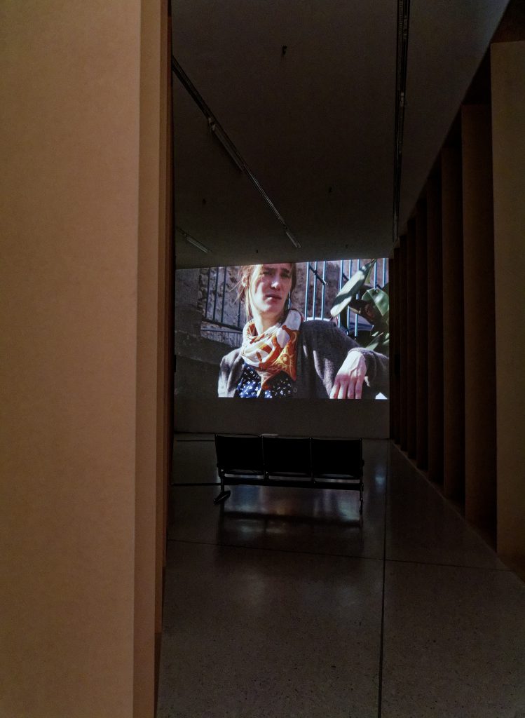 Rosa Aiello, A Good Reputation, Westfälischer Kunstverein - Foto: Helmut Sonnenhol