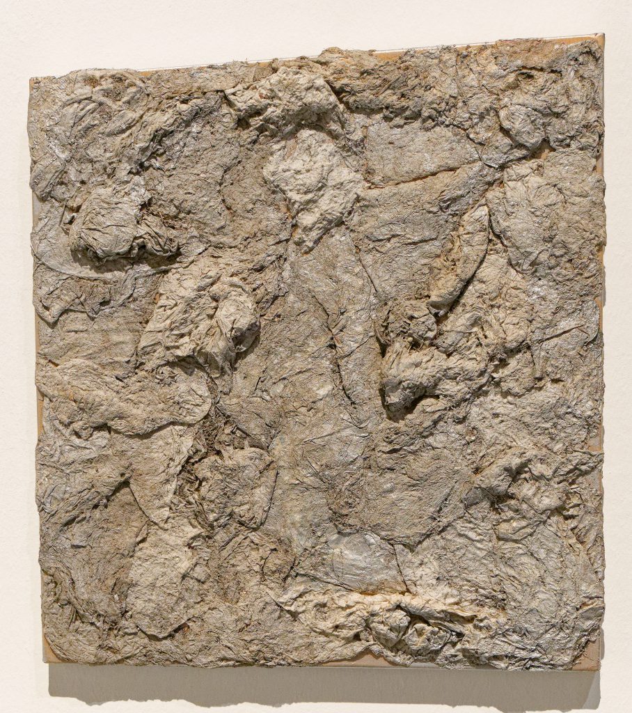 Siegfried Cremer. Das fünfte Element. Ausstellung im Kunstpalast Düsseldorf - Foto: Helmut Sonnenhol