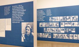 GERMAINE KRULL: Chien Fou