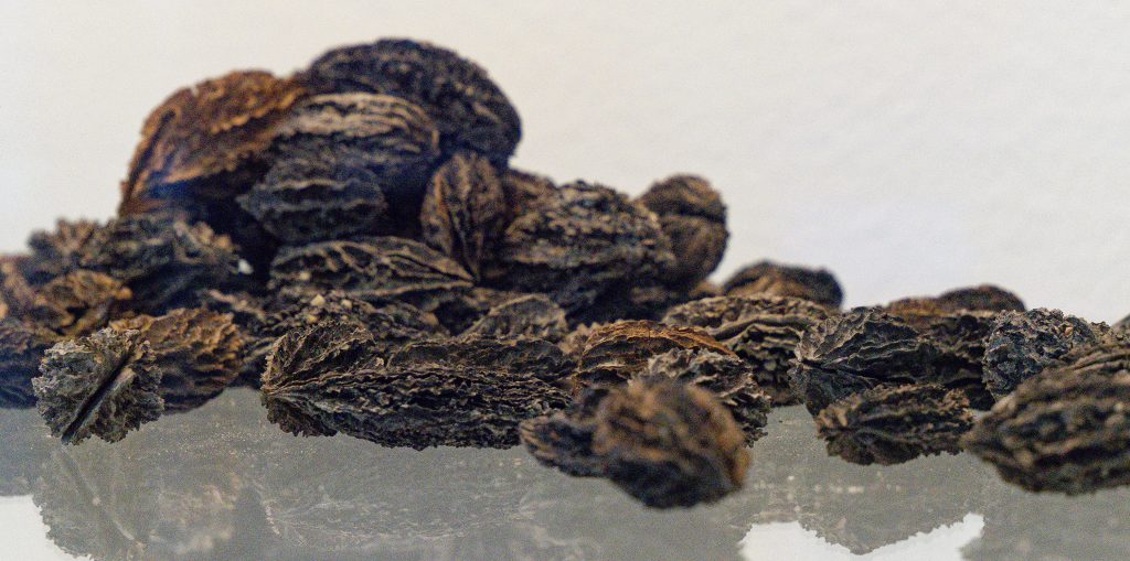 Archäologie im Rheinland 2025. Wanderausstellung im LVR-Landesmuseum Bonn.