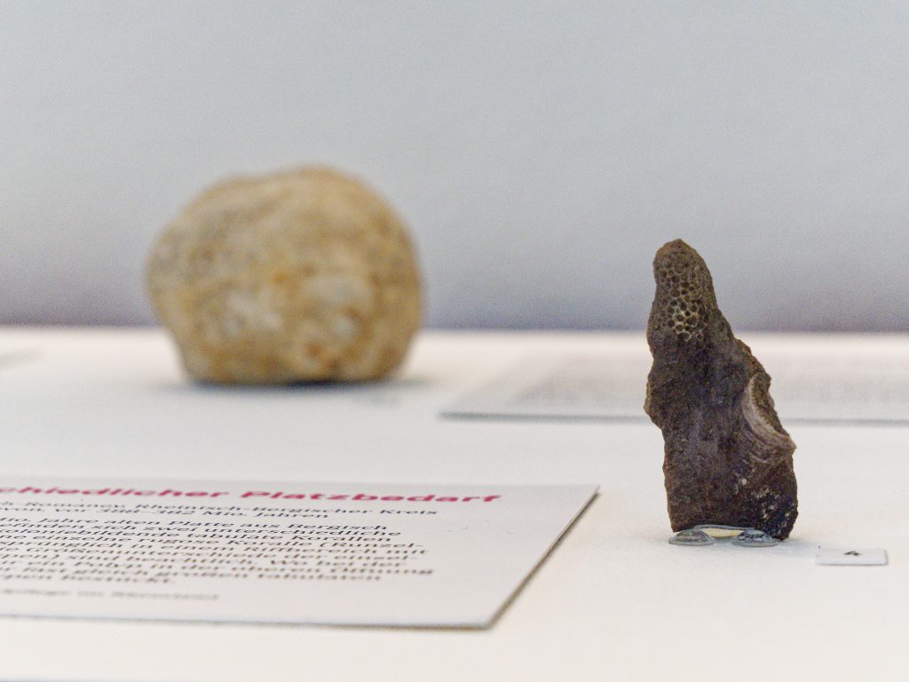 Archäologie im Rheinland 2025. Wanderausstellung im LVR-Landesmuseum Bonn.