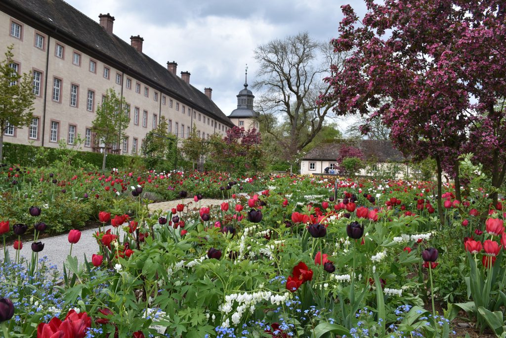 Remtergarten am Welterbe Corvey. Aktuell blühen im Klostergarten am Barockschloss die ersten Frühblüher wie Narzissen und Hyazinthen.
