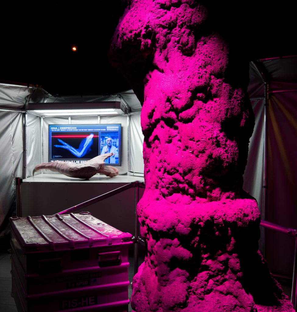 DinoXperience – Expedition Urzeit - Neue Erlebniswelt schickt Besucher in Königswinter 67 Millionen Jahre in die Vergangenheit.