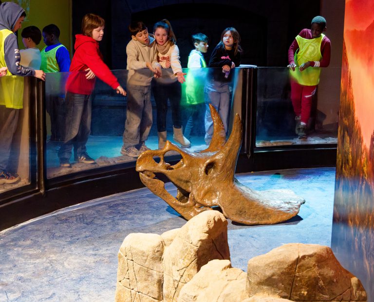 Mehr über den Artikel erfahren DinoXperience – Expedition Urzeit