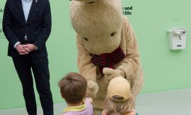 Der Hase Felix – „Reiselustig“