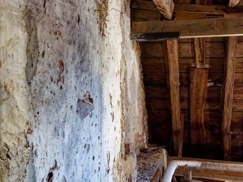 Burg Muldenau besitzt ältesten Burgendachstuhl im Rheinland