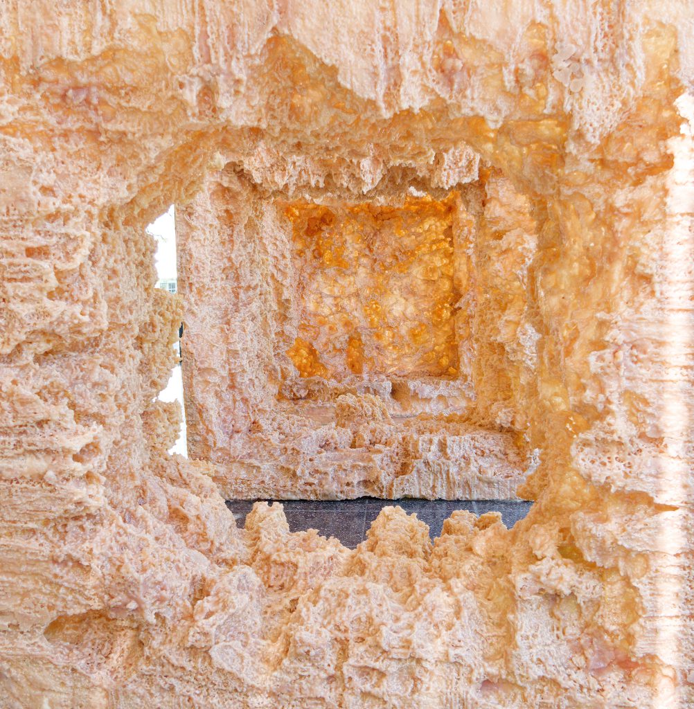 Anish Kapoor - Lehmbruck Museum Duisburg