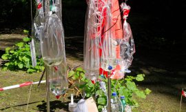 Ecologies in Motion