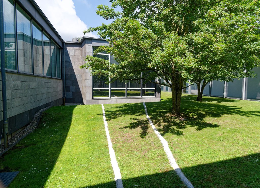 Kate Newby - Good Sound - I'm asking - Museum Folkwang