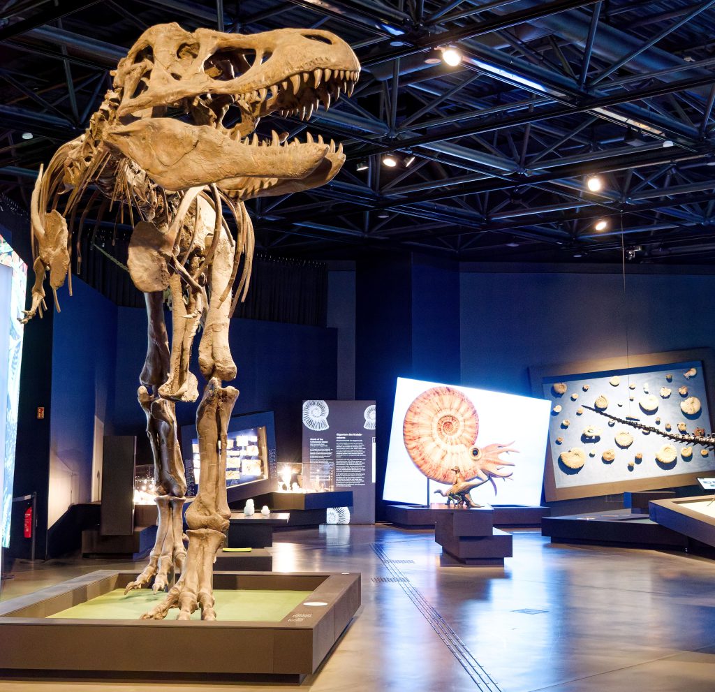 überLeben zwischen Dinos und Schuppenbäumen - Paläontologische Landesausstellung LWL-Museum für Naturkunde