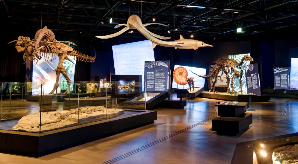 überLeben zwischen Dinos und Schuppenbäumen - Paläontologische Landesausstellung LWL-Museum für Naturkunde