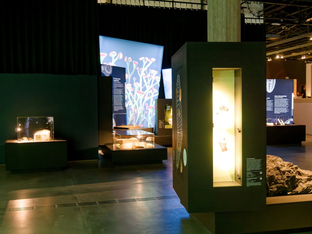 überLeben zwischen Dinos und Schuppenbäumen - Paläontologische Landesausstellung LWL-Museum für Naturkunde
