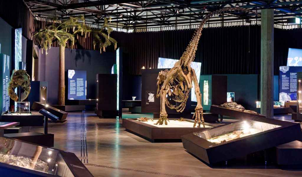 überLeben zwischen Dinos und Schuppenbäumen - Paläontologische Landesausstellung LWL-Museum für Naturkunde