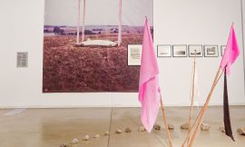 Under the Pink Flag