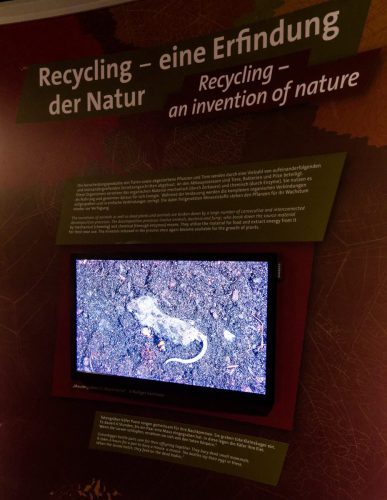 Naturmuseum Dortmund - Sonderausstellung Die dünne Haut der Erde - Unsere Böden