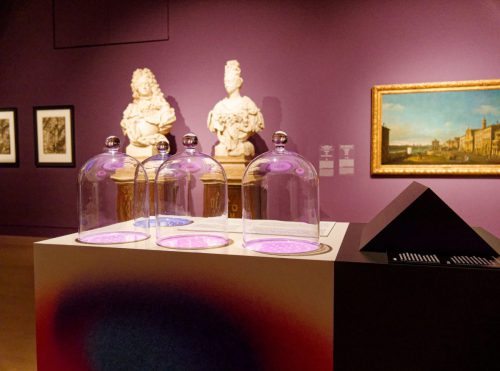 Kunstpalast Düsseldorf - Die geheime Macht der Düfte