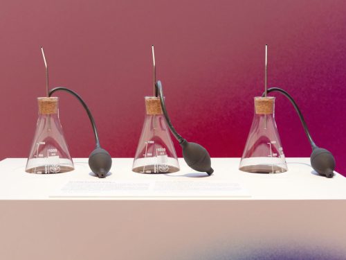 Kunstpalast Düsseldorf - Die geheime Macht der Düfte