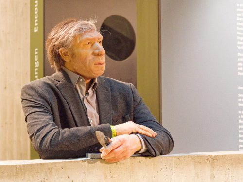 Neue Audiospur von und mit Ralph Caspers. Neuer Audioguide im Neanderthal Museum