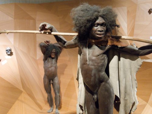 Neue Audiospur von und mit Ralph Caspers. Neuer Audioguide im Neanderthal Museum