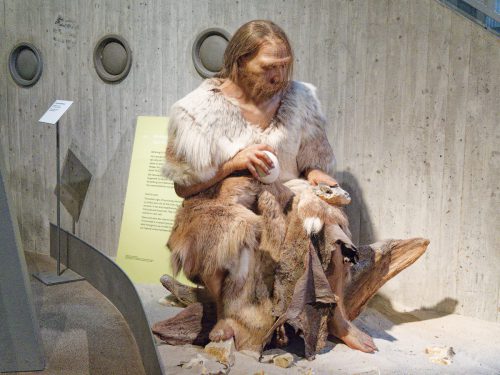 Neue Audiospur von und mit Ralph Caspers. Neuer Audioguide im Neanderthal Museum