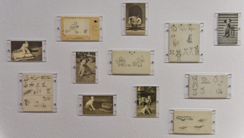 L is for Look - Museum Folkwang - Eine fotografische Reise durch 100 Jahre Kinder- und Jugendbuchkunst