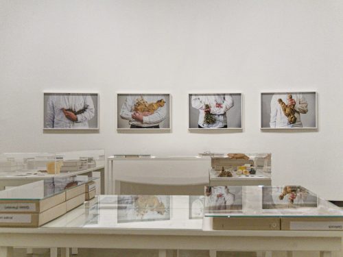 Marta Herford. Star-Architekt Frank Gehry. Kathleen Rahn.