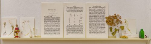 Süße Heimat - Deutsch-türkisches Leben in der Kunst, Kunstmuseum Ahlen