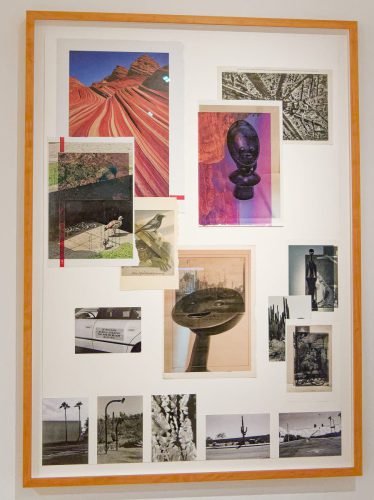 Max Ernst Museum Brühl des LVR - Christoph Westermeier: Sedona Vogel