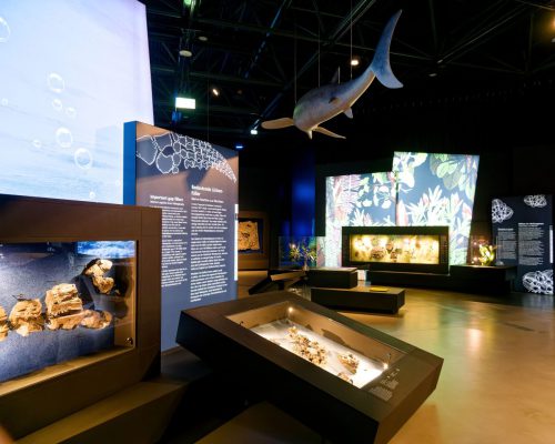 überLeben zwischen Dinos und Schuppenbäumen - LWL Museum für Naturkunde