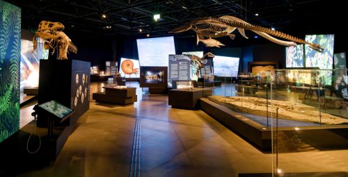 überLeben zwischen Dinos und Schuppenbäumen - LWL Museum für Naturkunde