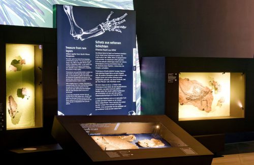 überLeben zwischen Dinos und Schuppenbäumen - LWL Museum für Naturkunde